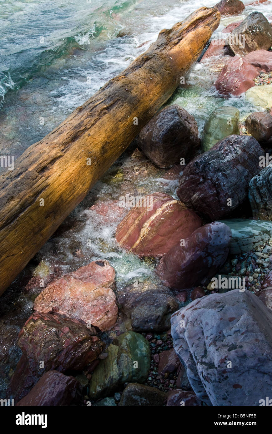 Journal d'arbres échoués sur la berge du lac McDonald Le Glacier National Park du Montana Banque D'Images