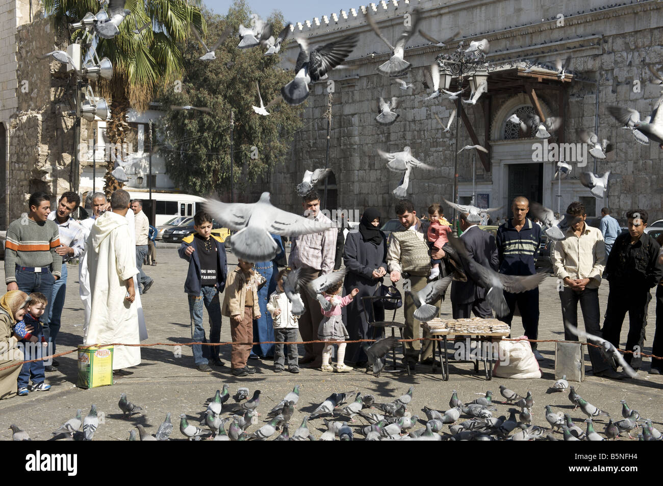 L'alimentation des familles à l'extérieur de la Mosquée Ummayyad pigeons, Damas, République Banque D'Images