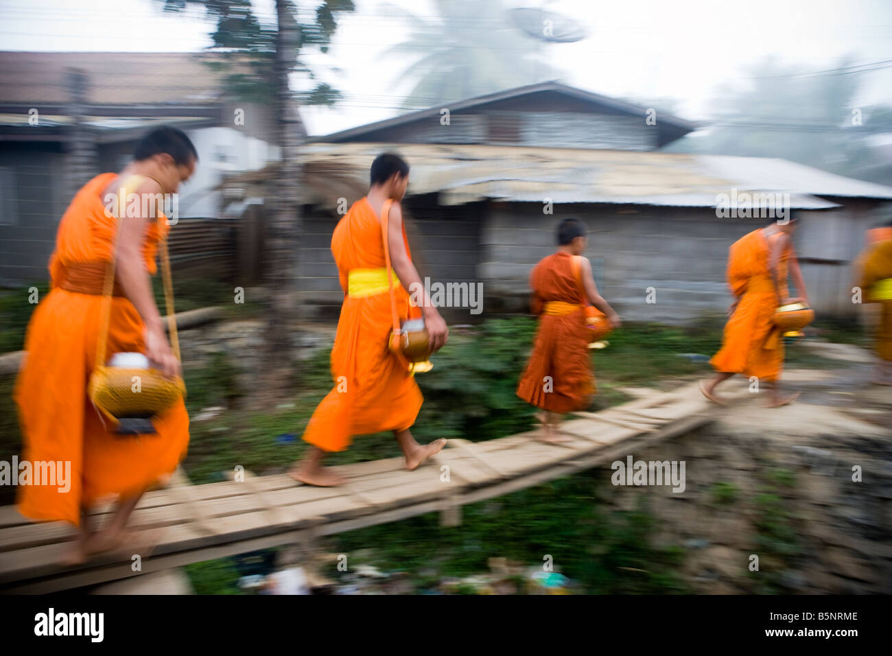 Les moines novices dans le tôt le matin, la collecte de l'aumône Wat Naluang du nord du Laos Luang Prabang Banque D'Images