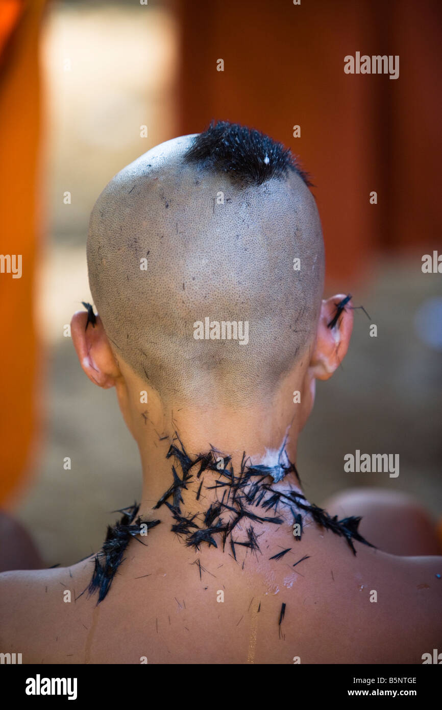 Les moines novices ayant leur raser la tête au Wat Naluang du nord du Laos Luang Prabang Banque D'Images