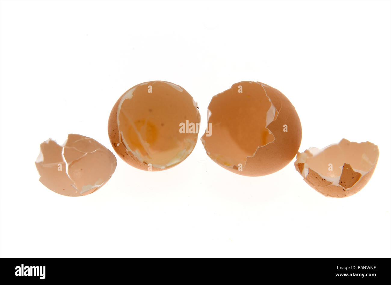 Poulet casse les coquilles sur un fond blanc. Banque D'Images