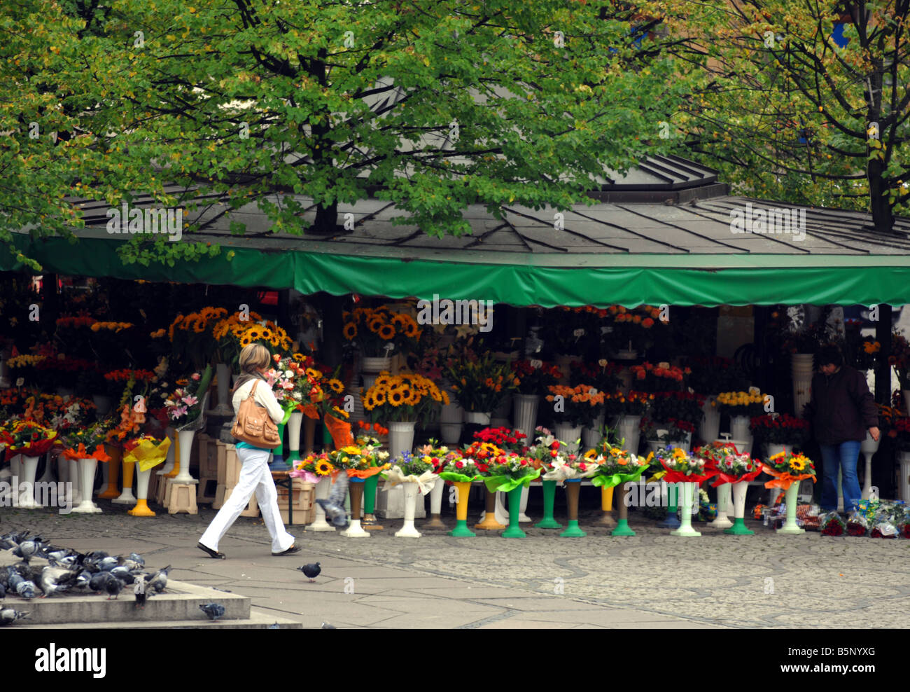 Marché aux fleurs à la place de 'alt' ou Solny Square, Wroclaw, Pologne Banque D'Images