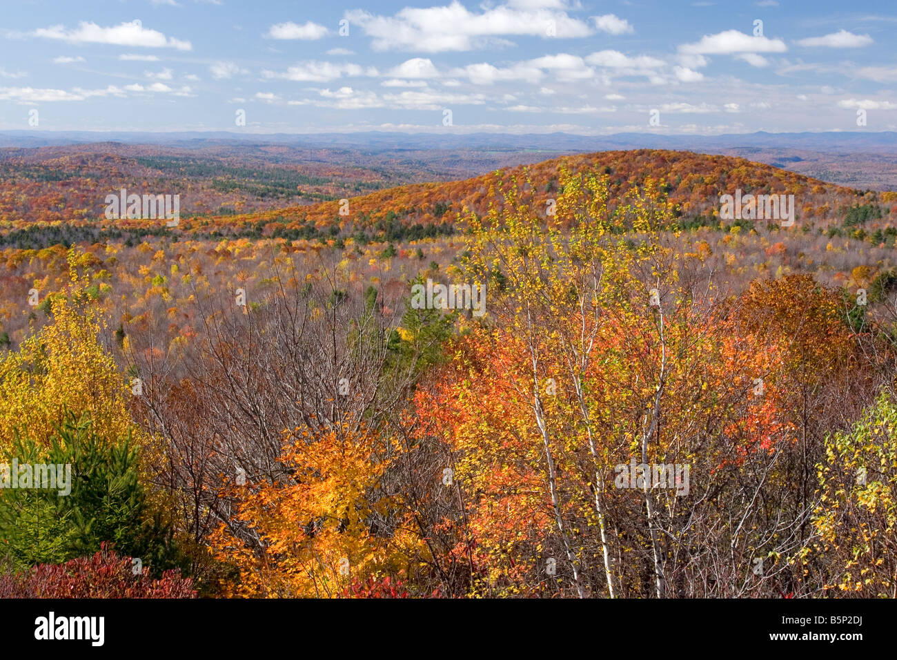 Paysage du New Hampshire les feuilles d'automne et les arbres d'automne. Vue du haut de la montagne Pitcher, New Hampshire. Banque D'Images