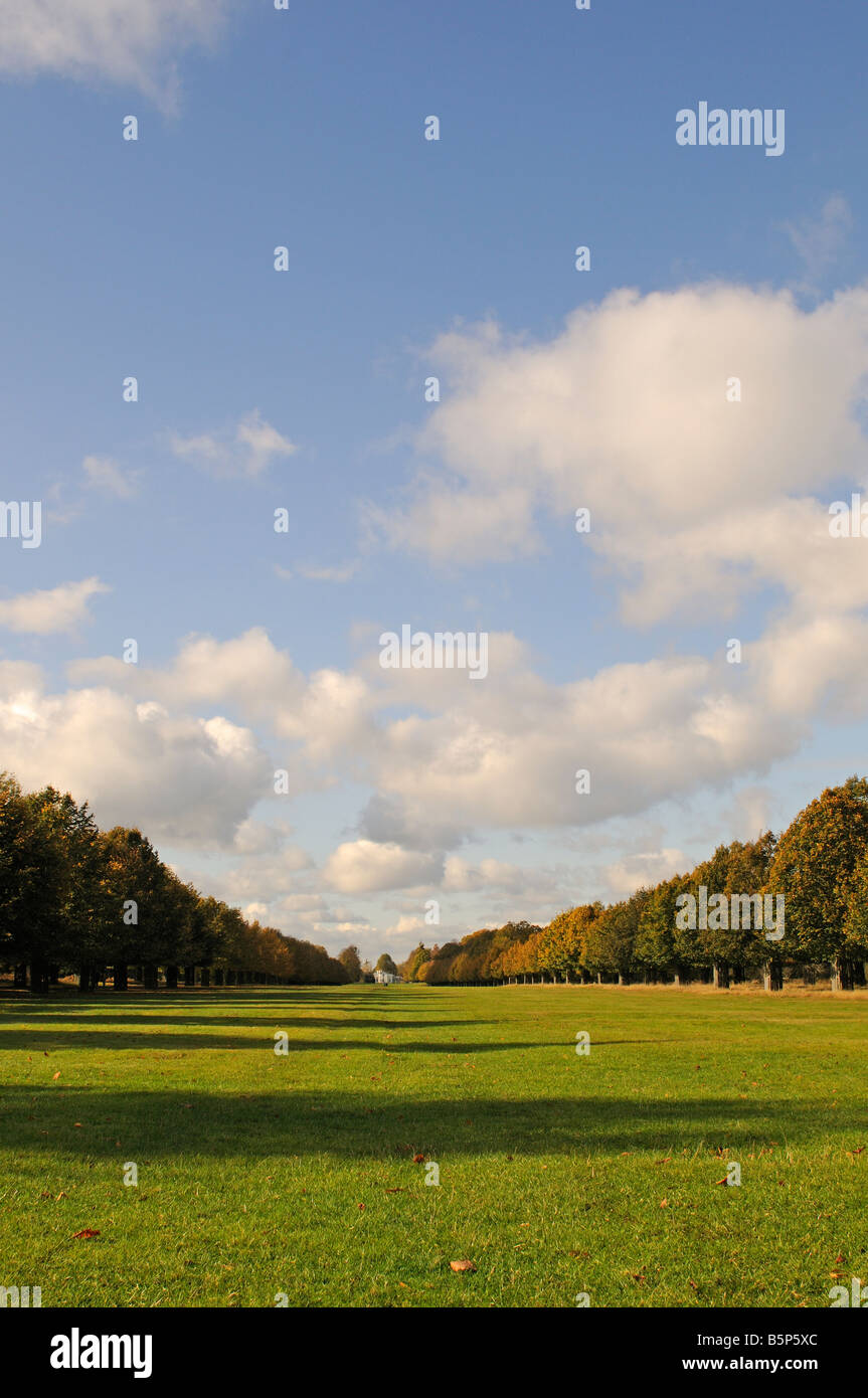 Avenue de lime et Blanc Lodge Bushy Park Middlesex UK Banque D'Images