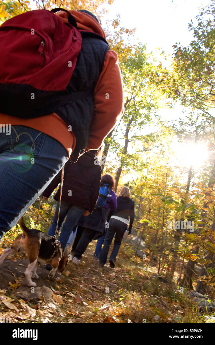 Une jeune femme promener son chien dans les bois avec des amis Banque D'Images