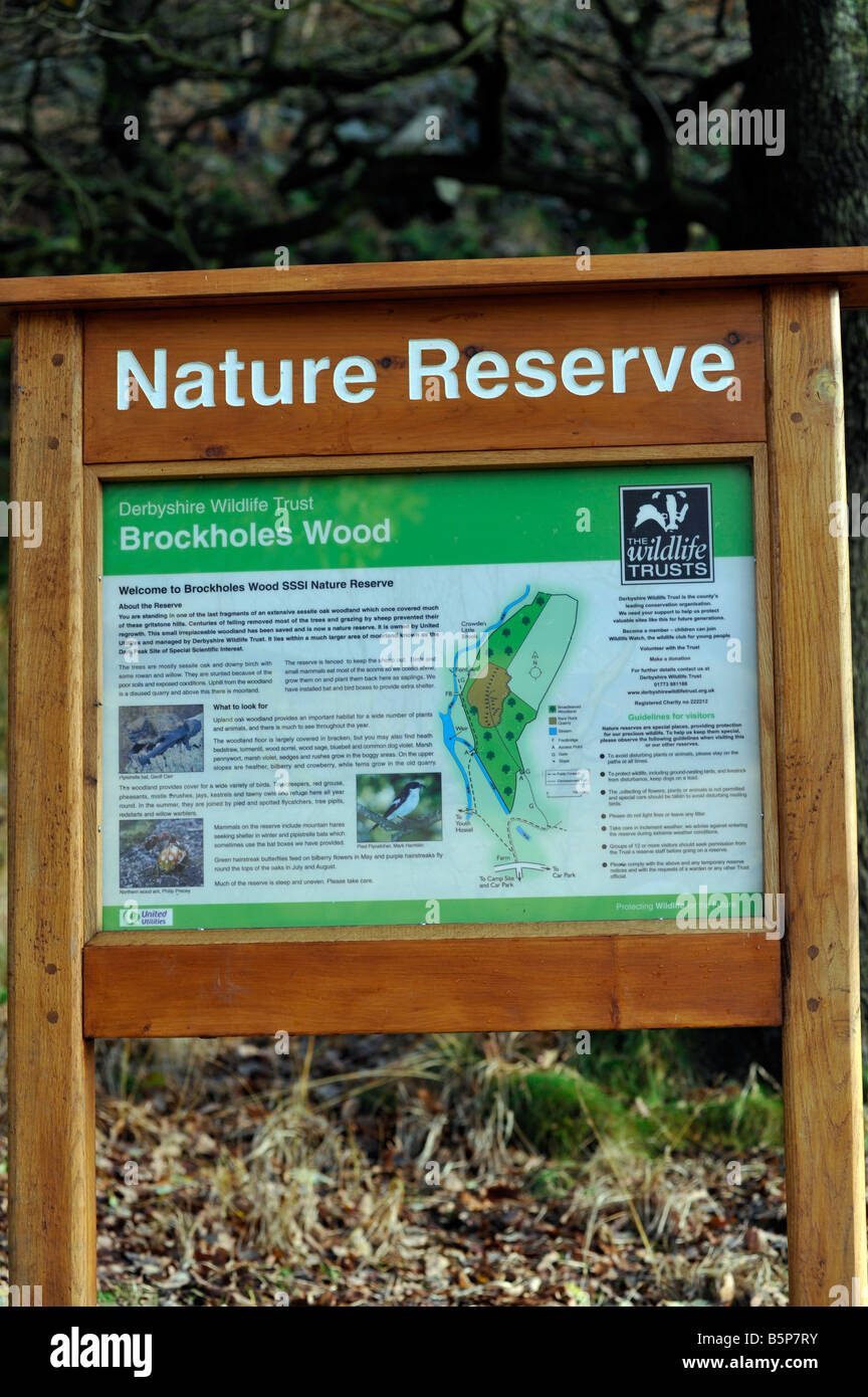 Peak District à la réserve naturelle de Brockholes Wood Peak District Banque D'Images