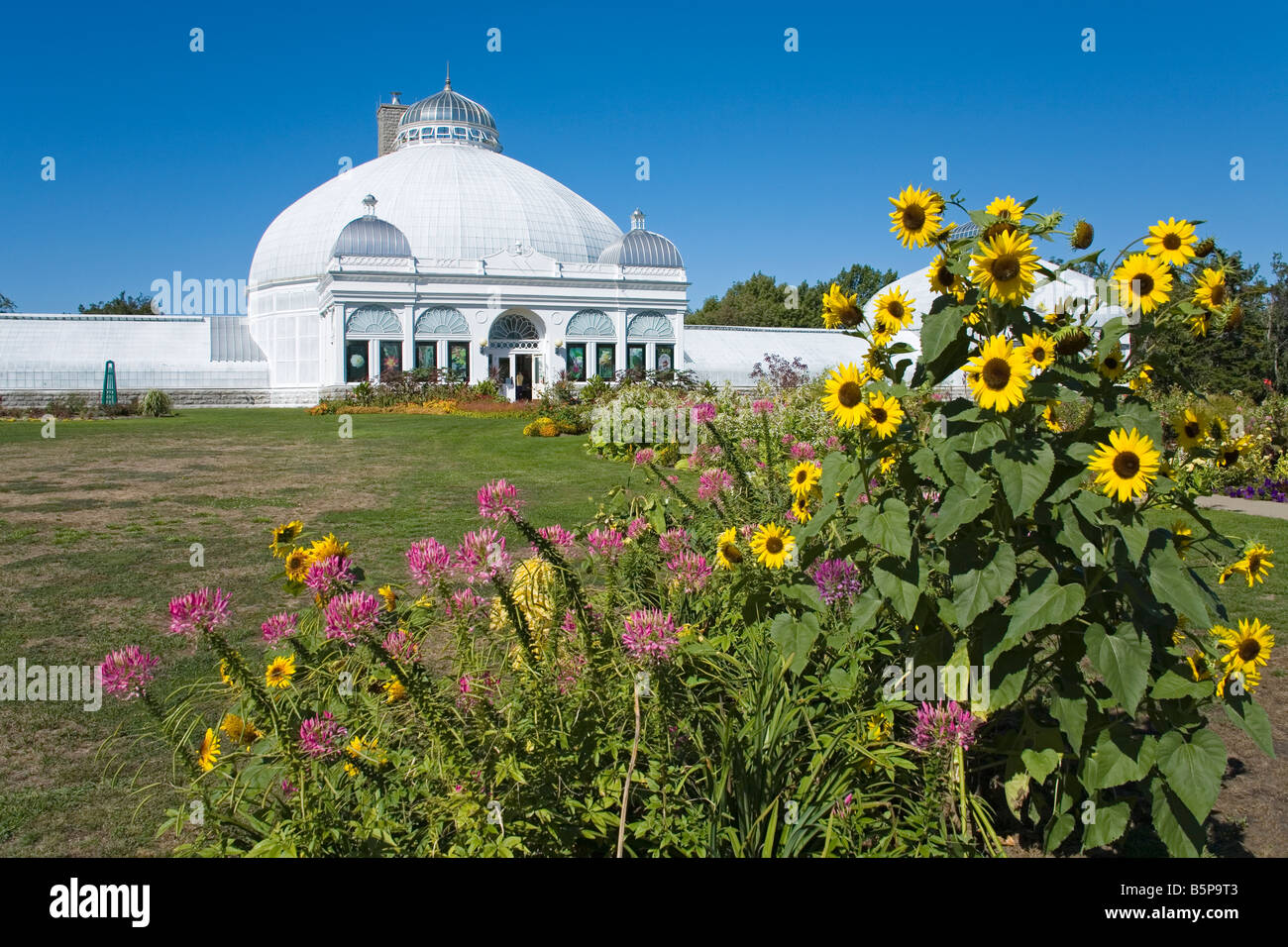 Jardins botaniques de l'État de New York, Buffalo USA Banque D'Images