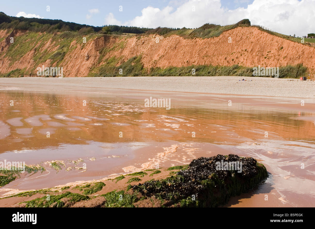 Plage de Sidmouth Banque D'Images