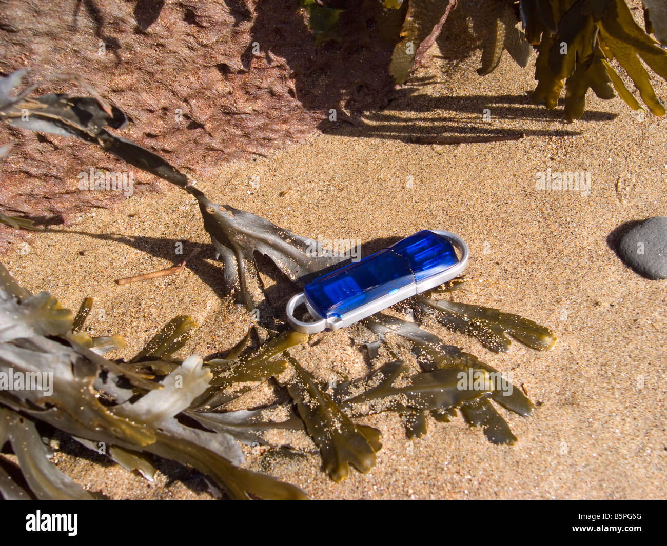 Un ordinateur numérique memory stick perdu sur une plage de sable fin avec des algues Banque D'Images