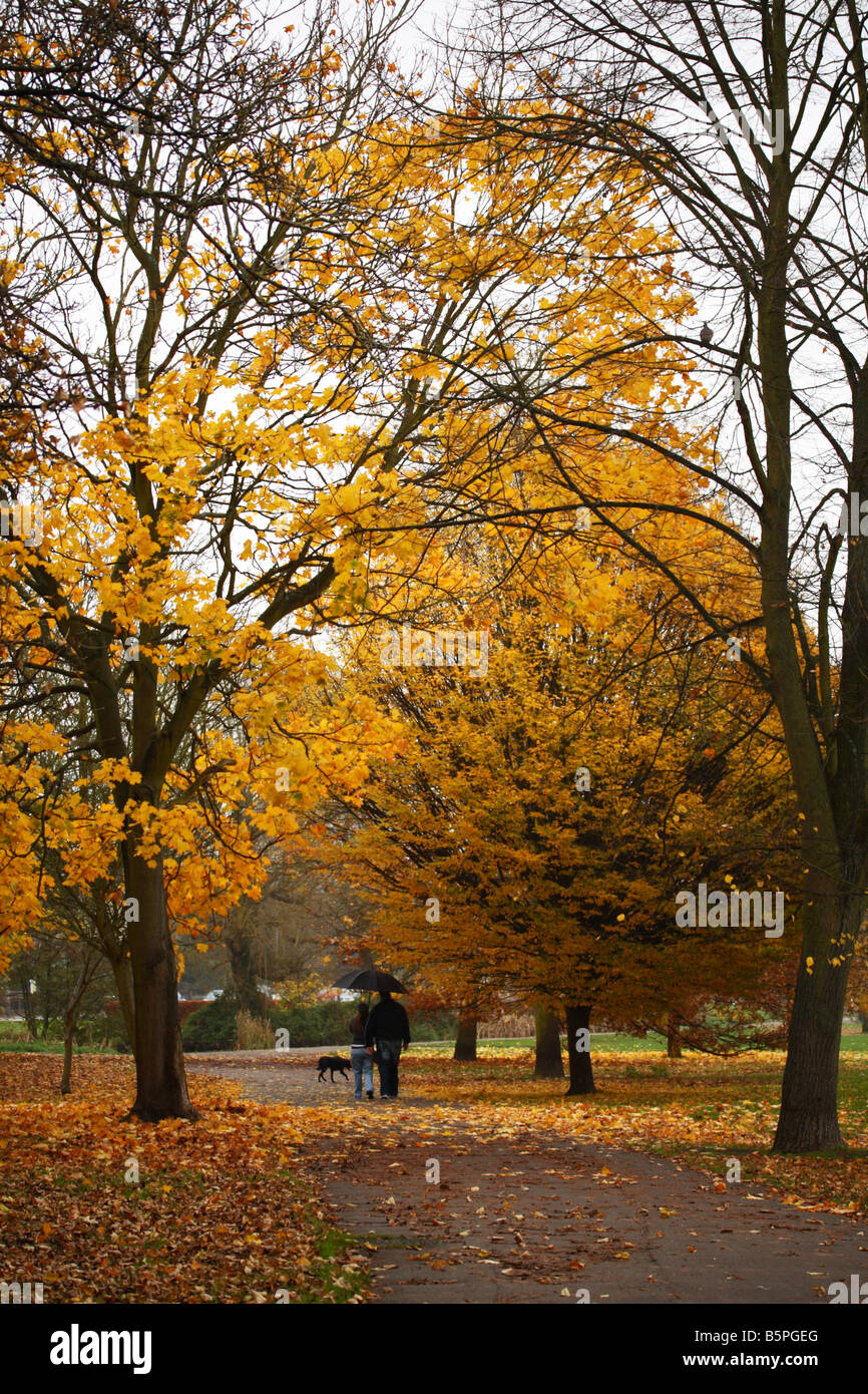 Couple en train de marcher un chien dans un parc à High Wycombe en fin d'automne Banque D'Images