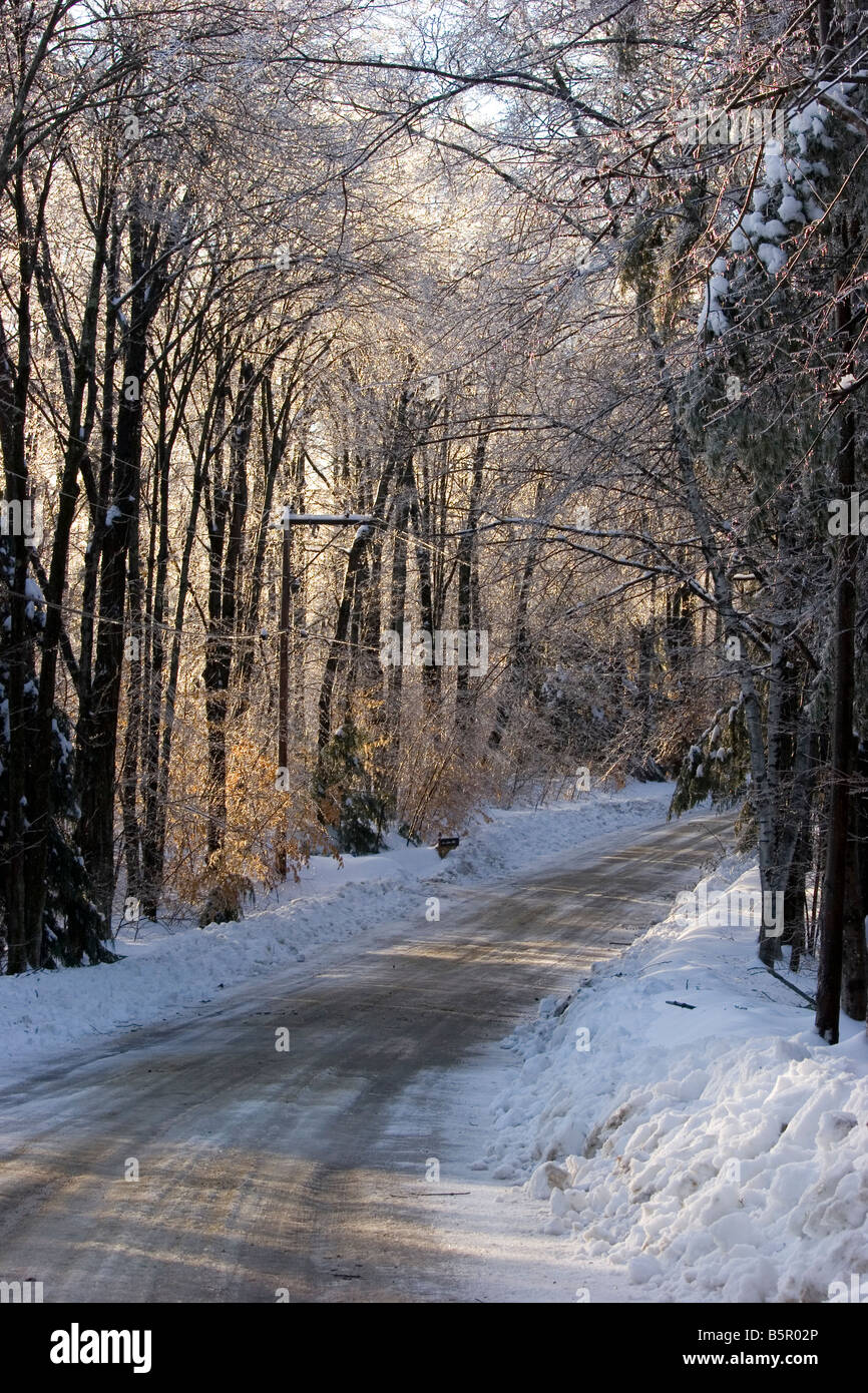 Scène d'hiver dans les bois de la route Banque D'Images