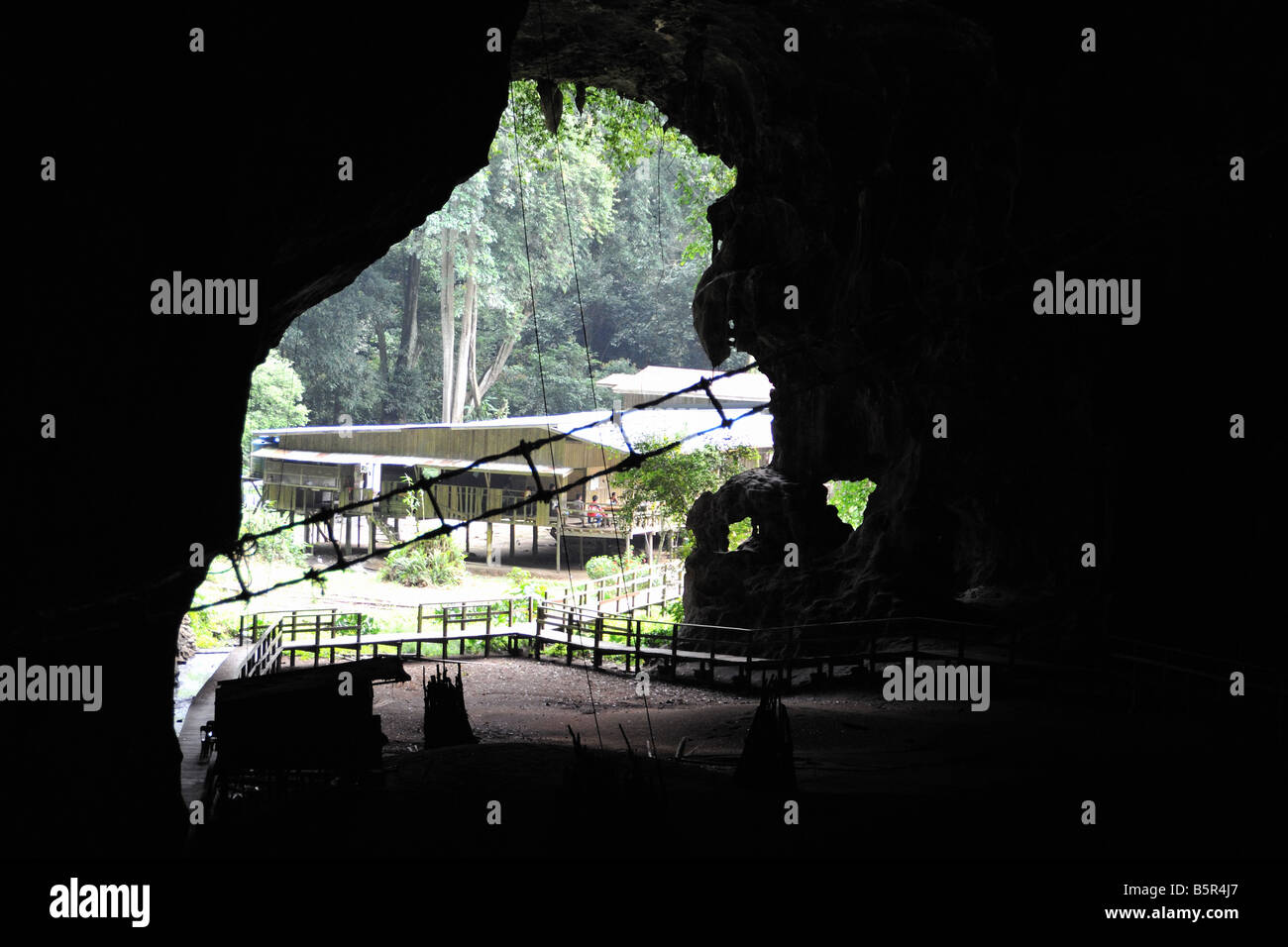 Grotte de Gomantong, Sabah, Bornéo, l'emplacement de source classique d'oiseaux nichent de soupe Banque D'Images