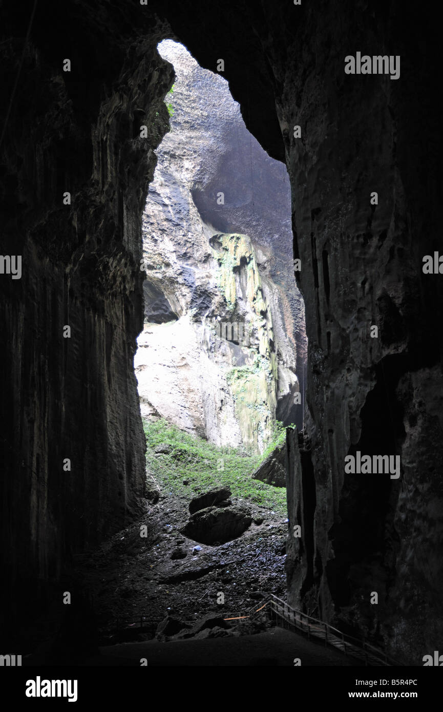 Grotte de Gomantong Sabah Bornéo Malaisie Birds Nest Banque D'Images