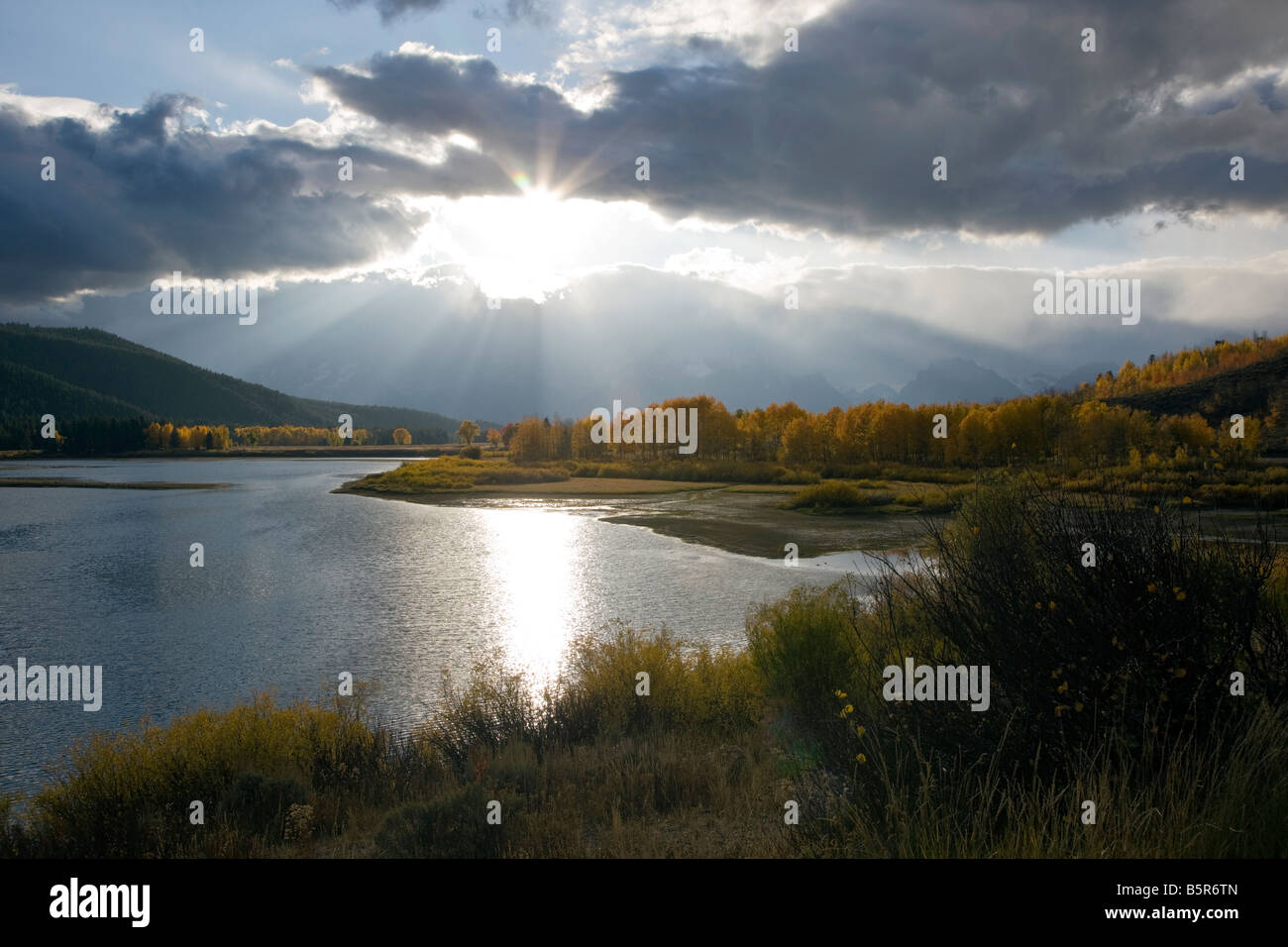 Teton Mountains et trembles golden en automne, vue d'Oxbow Bend, Snake River, Grand Teton National Park, Wyoming, USA Banque D'Images
