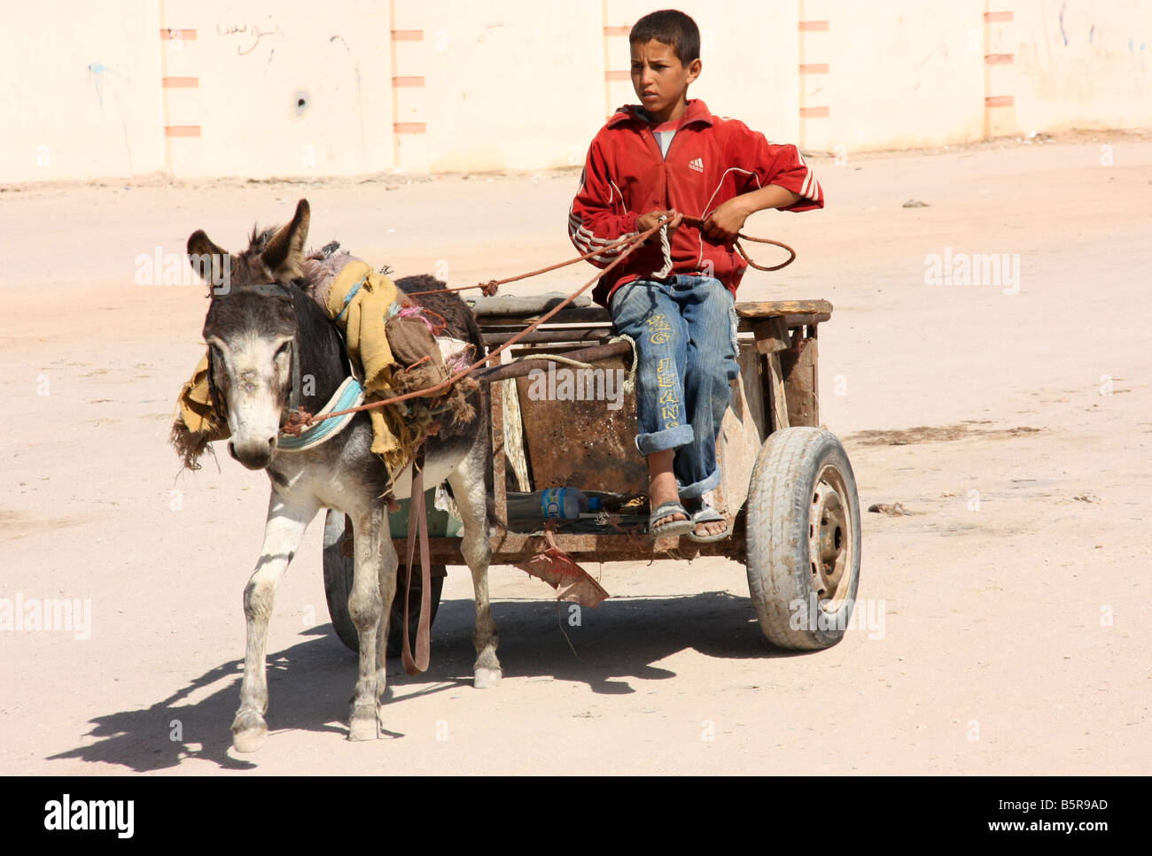 Des ânes et des pilotes dans les rues désertes de Dakhla (Sahara Occidental Banque D'Images