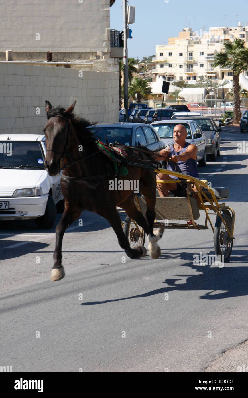 Un cheval de course en tirant un chariot à deux roues à Marsaskala, Malte. Banque D'Images