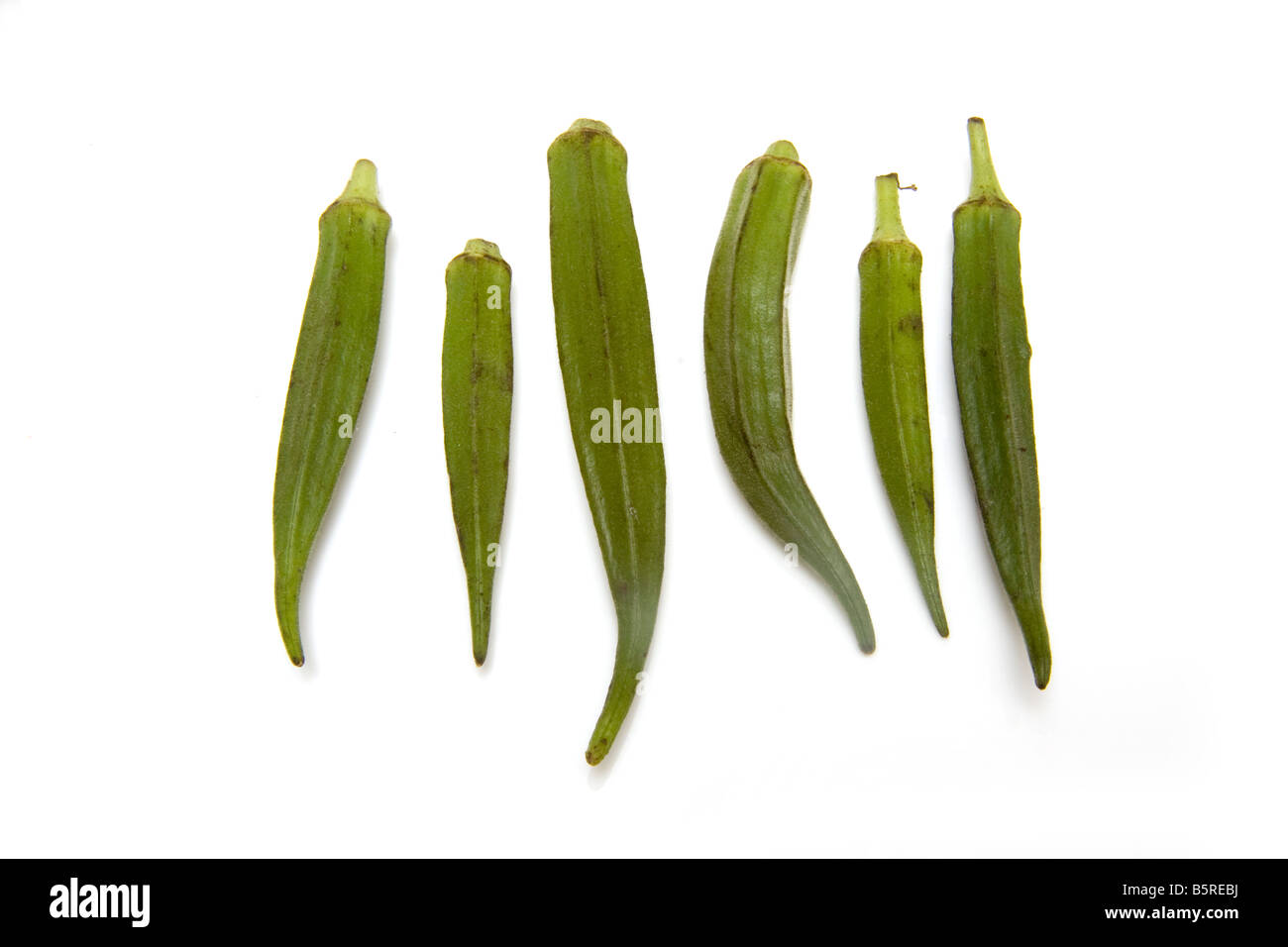 L'okra ou mesdames doigts isolated on a white background studio Banque D'Images