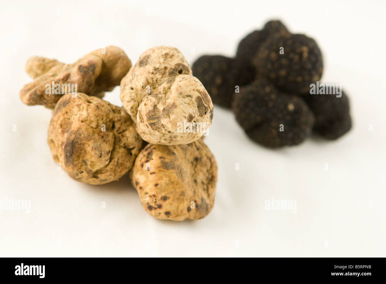 Les truffes blanches et noires, certains des aliments les plus chers sur le marché. Banque D'Images