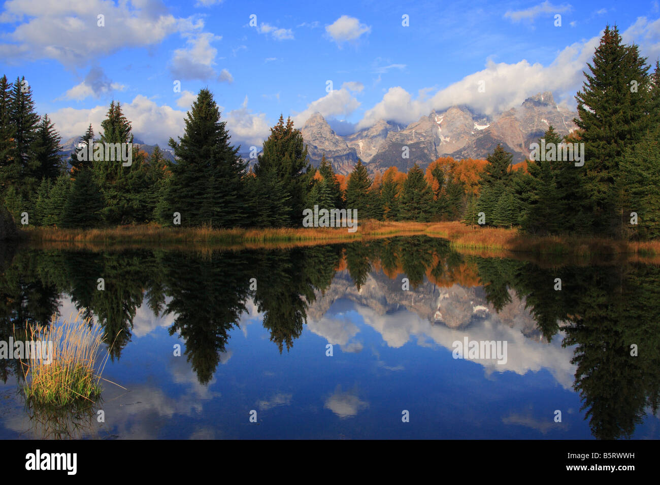 Teton mountain range et l'automne arbres se reflétant sur l'étang de castors à l'atterrissage Schwabacher Banque D'Images