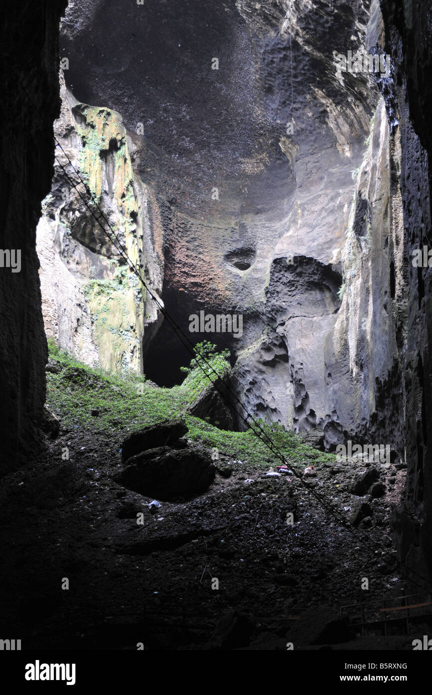 Grotte de Gomantong, Sabah, Bornéo, l'emplacement de source classique d'oiseaux nichent de soupe Banque D'Images