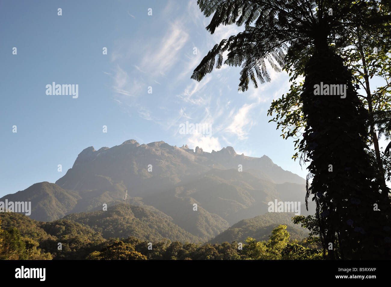 Vue du Mont Kinabalu avec fern en premier plan pris à partir de la station de base, Sabah, Malaisie Banque D'Images
