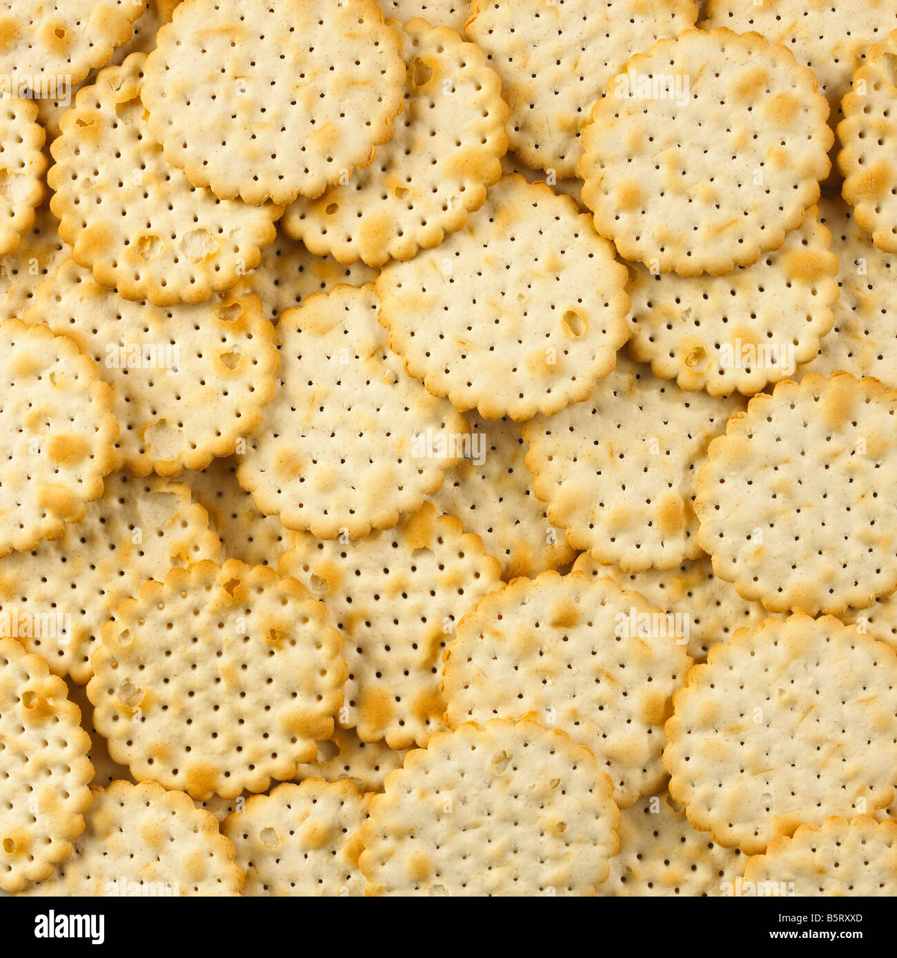 BISCUITS CRAQUELINS CRÈME CIRCULAIRE RONDE Banque D'Images