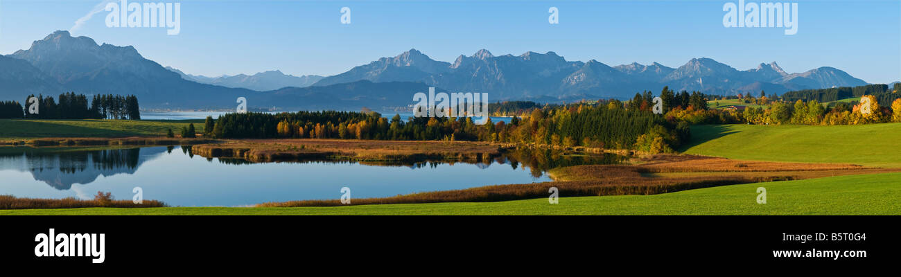 La couleur en automne à une montagne de Forggensee Alpes d'Allgäu en hausse dans la distance, Bavaira, Allemagne Banque D'Images