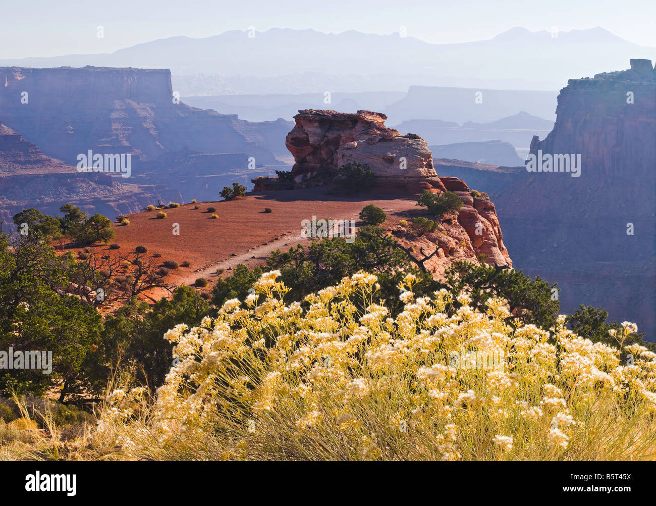 Shafer Canyon Overlook dans le Canyonlands National Park Banque D'Images