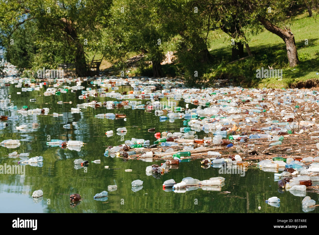 La pollution en plastique lourd dans beau paysage sauvage, le lac bicaz, Roumanie Banque D'Images