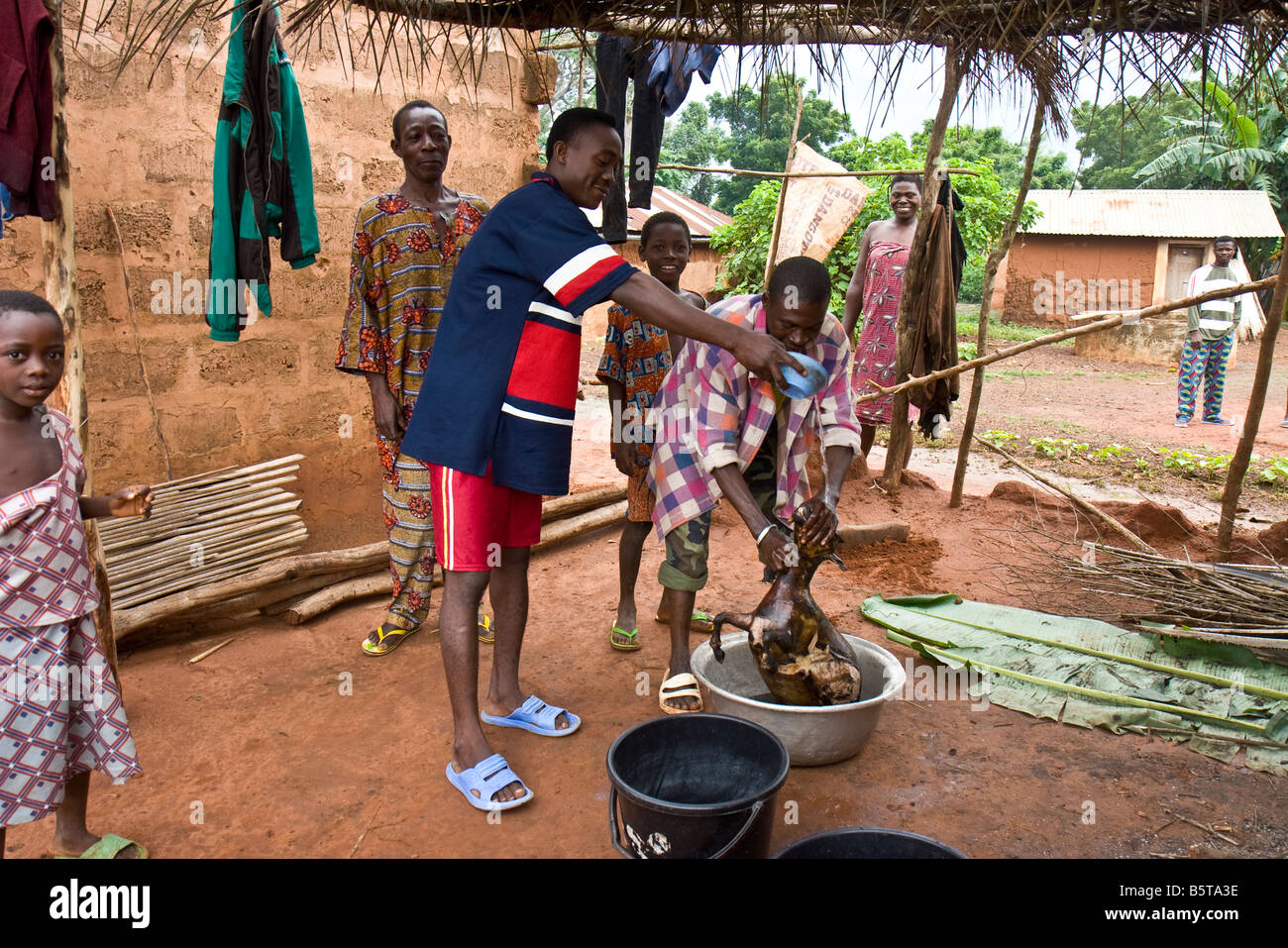 Une chèvre fraîchement torréfié est prêt pour manger dans un village africain. Banque D'Images