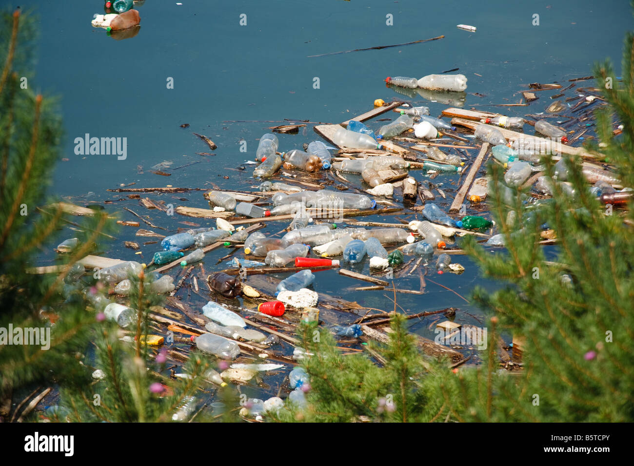 La pollution en plastique et autres déchets sur la pureté de l'eau du lac Banque D'Images