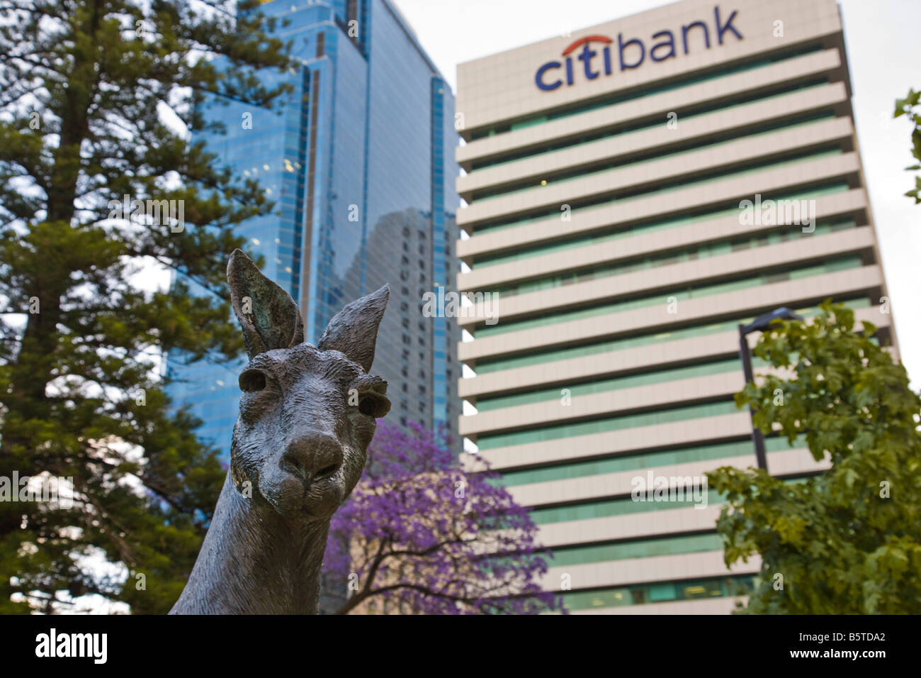 Sculpture kangourou avec le quartier central des affaires de Perth à l'arrière-plan Banque D'Images
