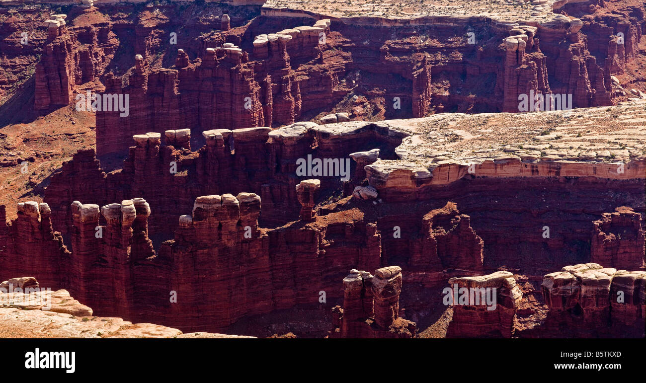 Rock formation de Monument bassin dans le Parc National de Canyonlands USA Banque D'Images