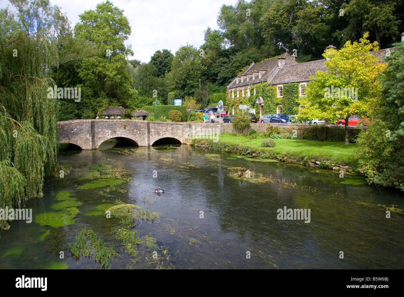 Ruisseau à truite dans le village de Bibury Gloucestershire Angleterre Banque D'Images