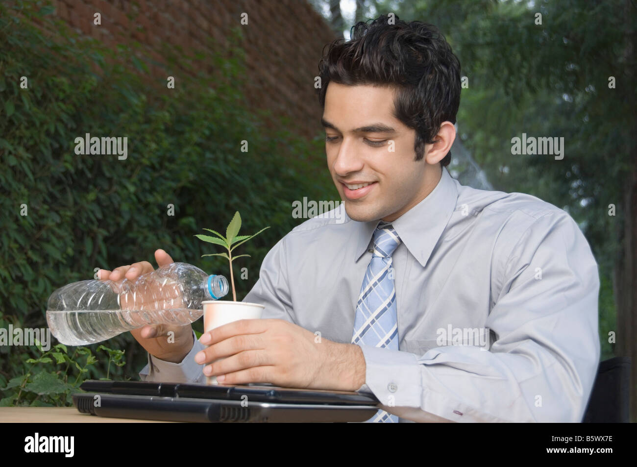 Woman watering a plant Banque D'Images