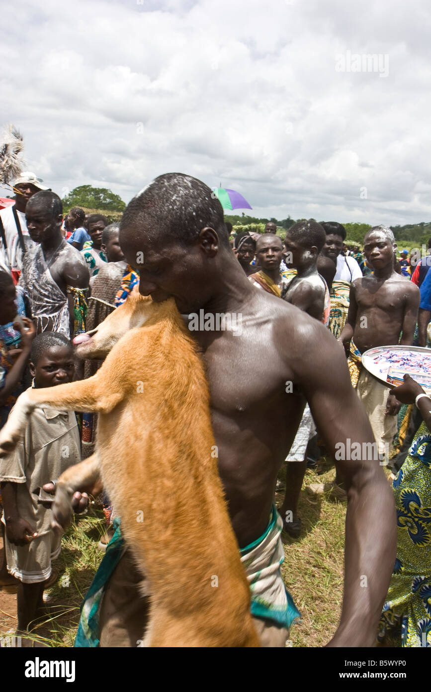Un homme danse avec un chien mort dans ses dents pendant la Festival Evala au Togo est Région de la Kara. Banque D'Images