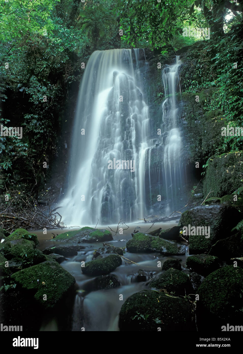 Petite cascade dans la forêt profonde de jour d'été ensoleillé Banque D'Images