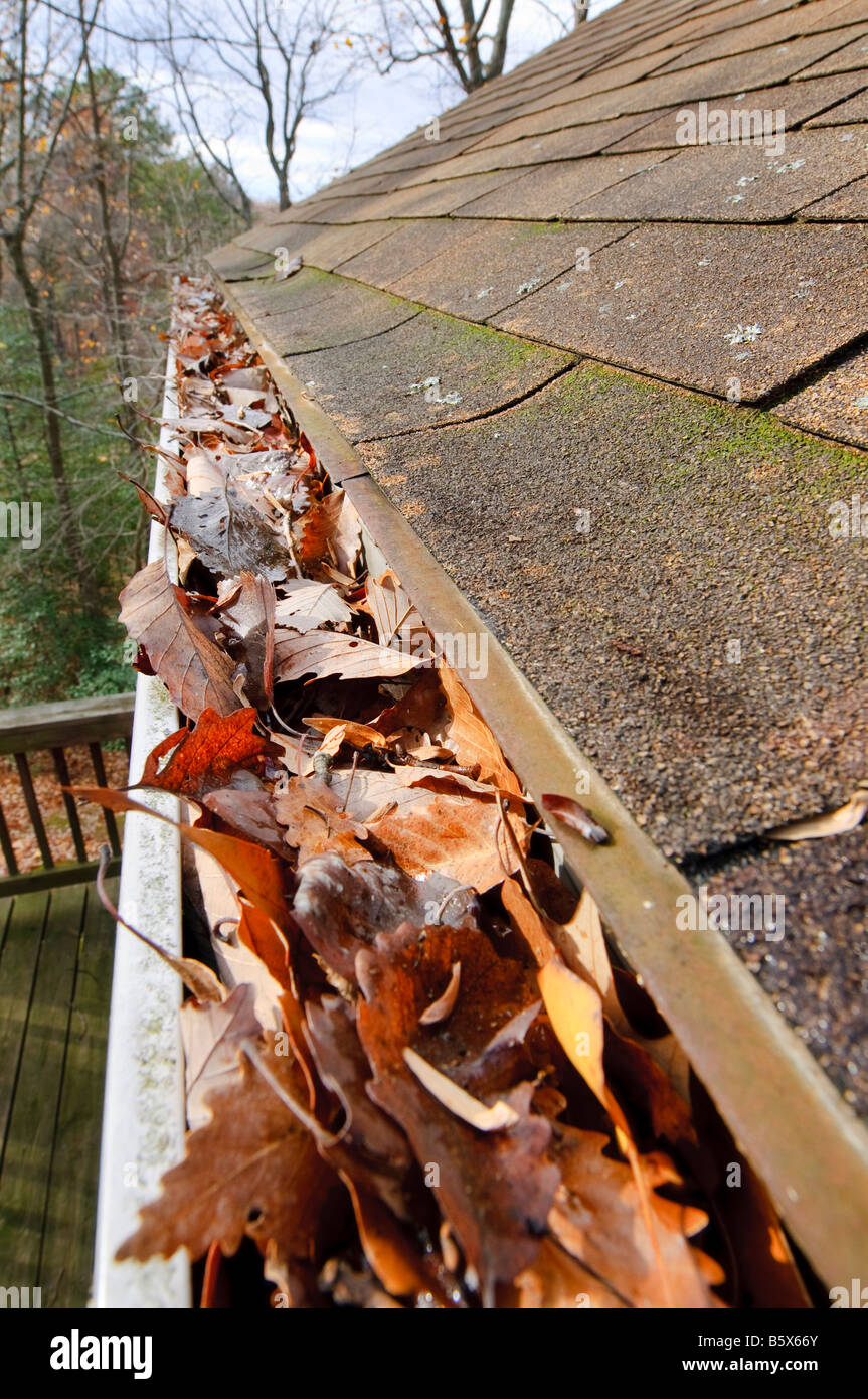 Gouttières bouchées avec les feuilles tombées. Banque D'Images