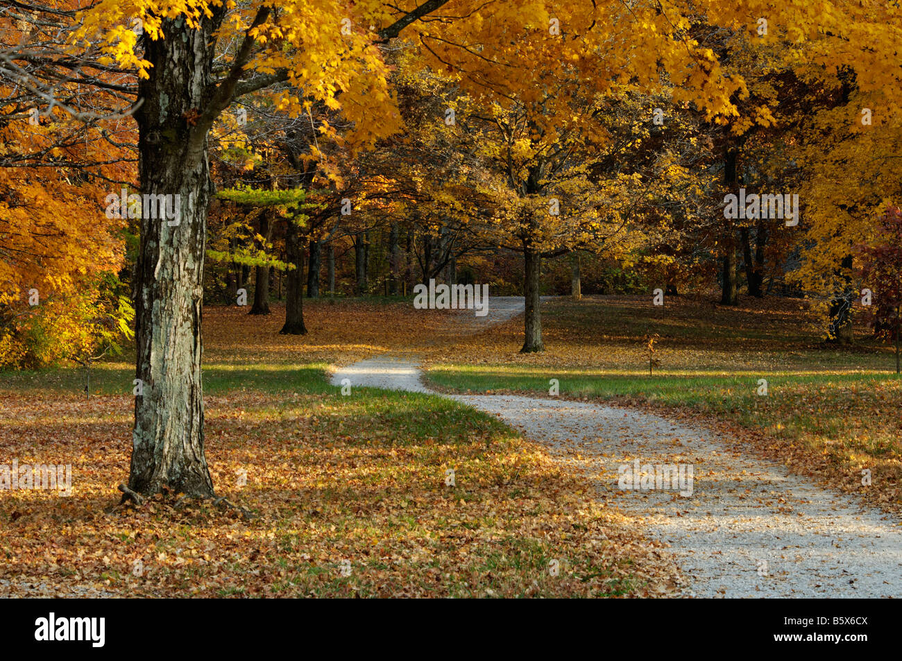 Chemin de gravier jusqu'à l'automne dans les bois et forêts Recherche Bernheim Arboretum Bullitt Comté Ohio Banque D'Images