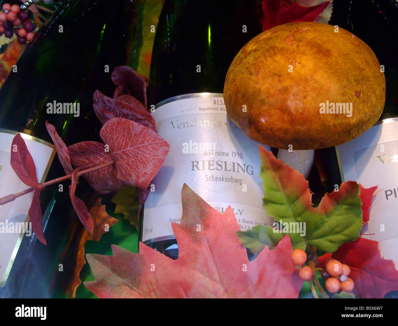 Pour la récolte de bouteilles de riesling en Alsace France avec l'affichage d'automne Banque D'Images