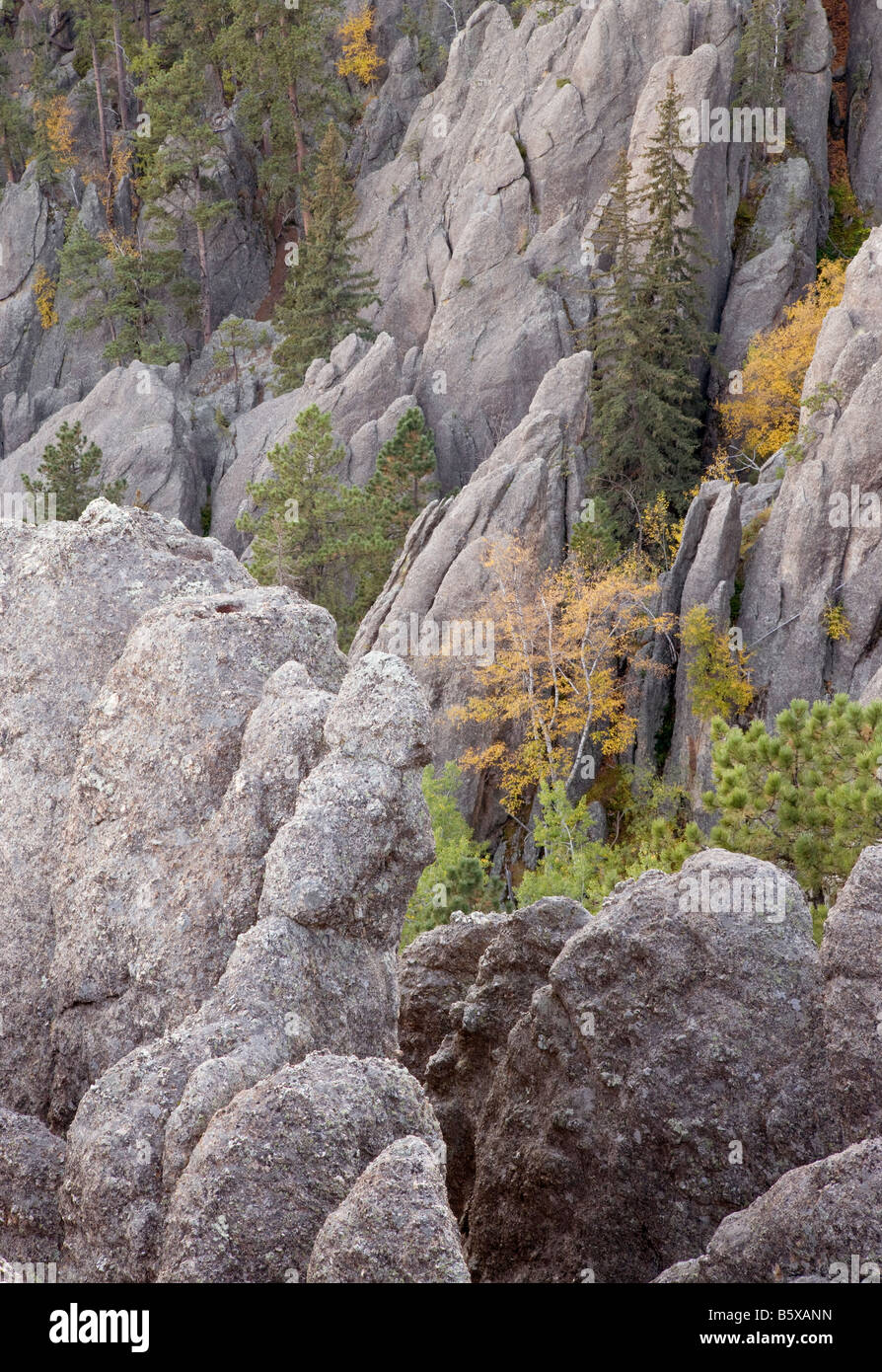Flèches de granit et d'arbres, Custer State Park, le Dakota du Sud Banque D'Images