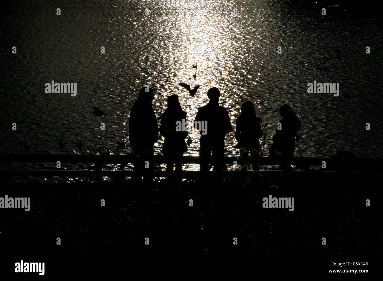 Silhouette d'une famille à nourrir les oiseaux chorlton water park manchester. Banque D'Images