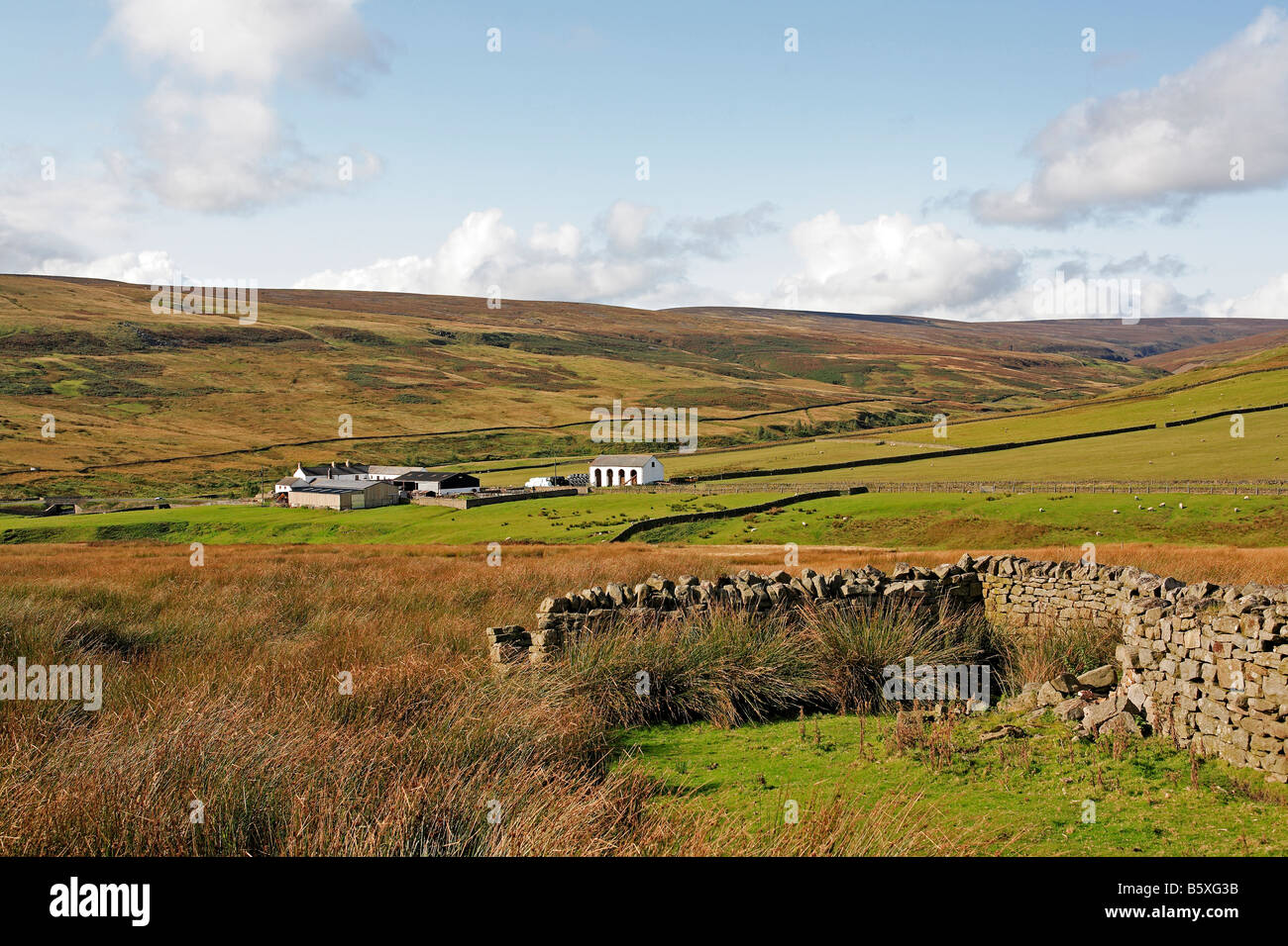 1223 North Pennines Royaume-uni Durham Teesdale Banque D'Images