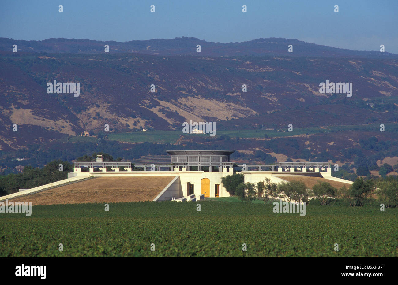 L'Opus One Vigne à Napa Valley Californie USA Banque D'Images