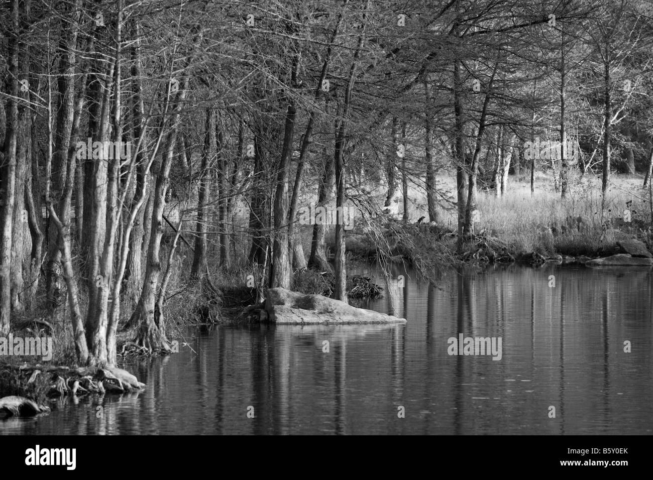 Texas Hill Country rivière paysage en noir et blanc Banque D'Images