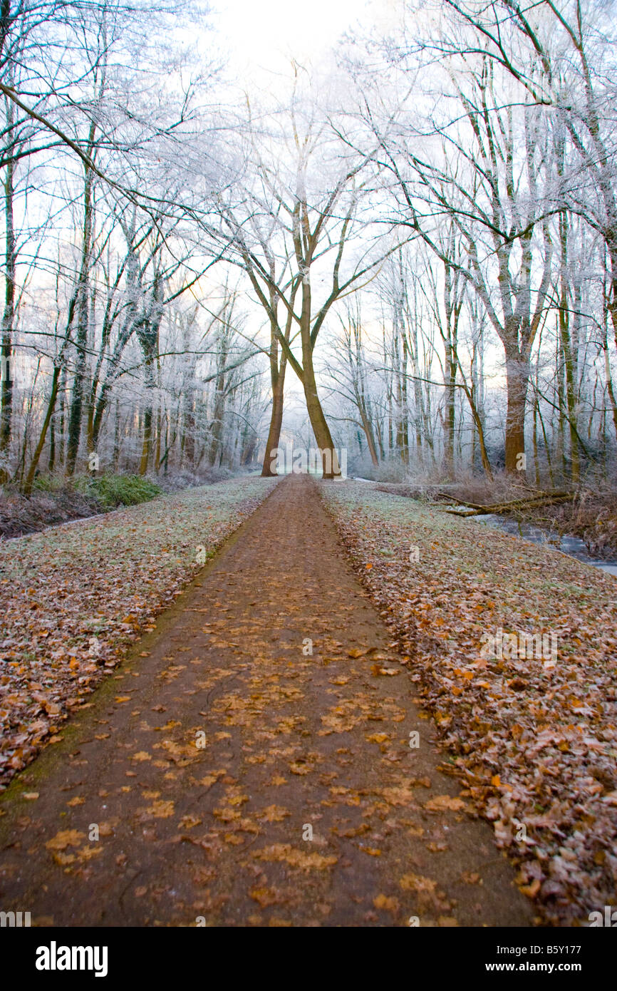 Chemin par scène d'hiver froid parc Banque D'Images