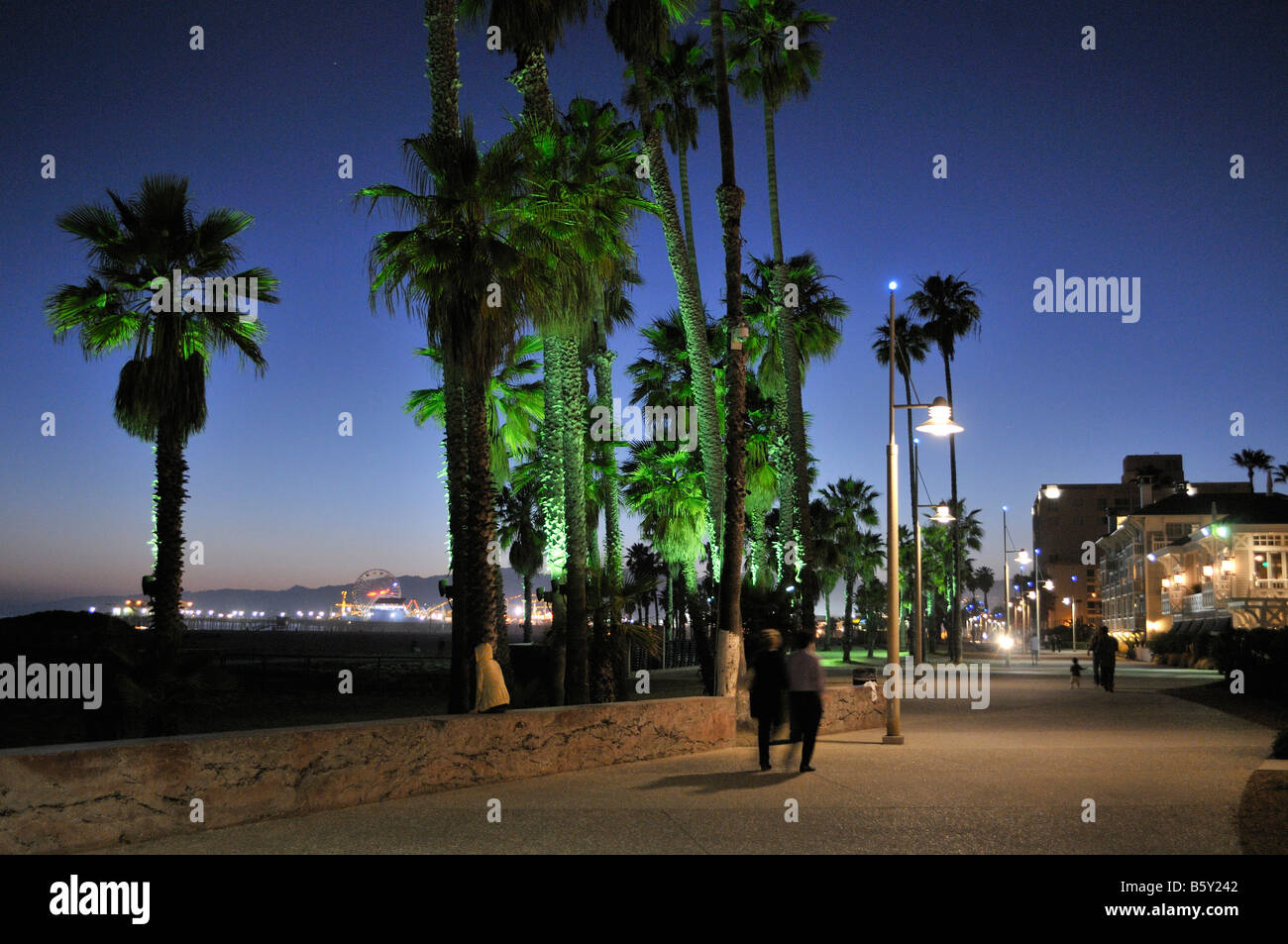 Palmiers illuminés le long de la Santa Monica Beach Banque D'Images