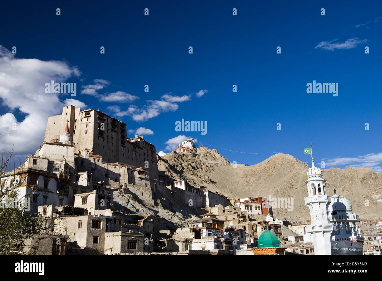 Namgyal tsemo gompa, Leh Palace Jamia Masjid, mosquée und ladakh leh Banque D'Images