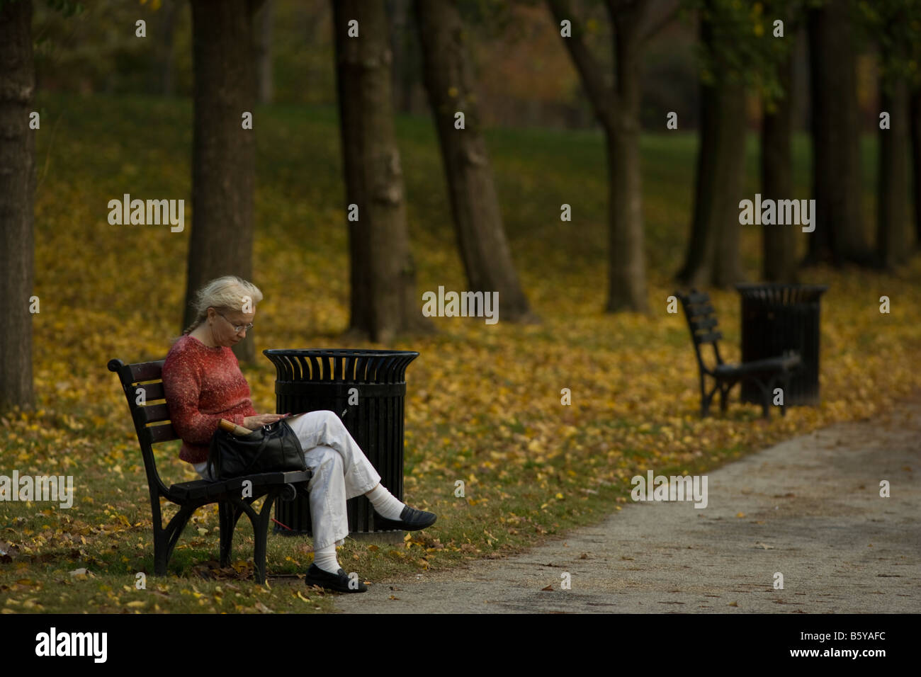 Woman lecture à la lumière d'automne sur le National Mall à Washington DC Banque D'Images