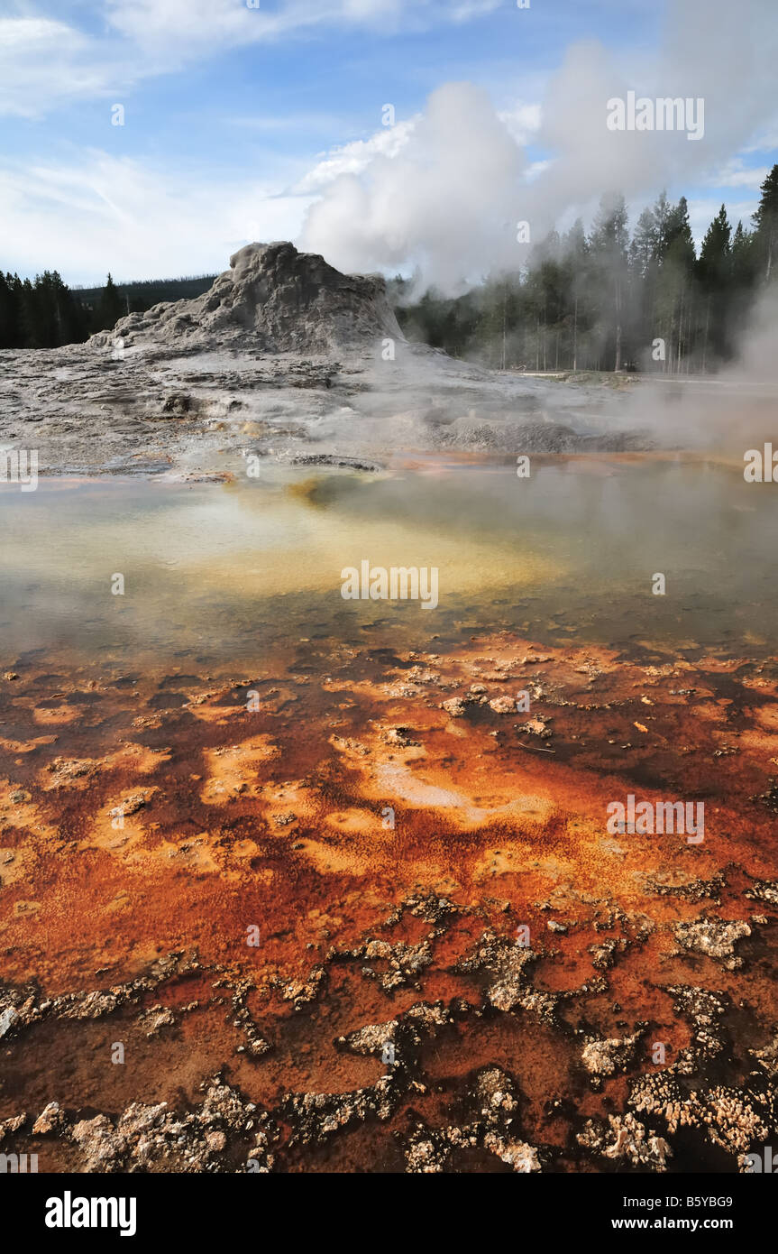 Castle Geyser rouge avec les bactéries thermophiles dans l'avant-plan Banque D'Images